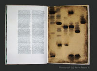 Pages 10 and 11 of the Deluxe Edition