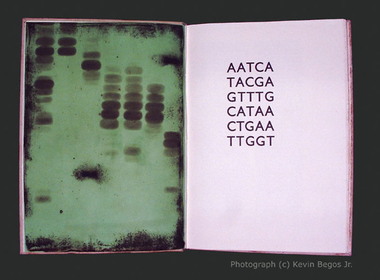 Pages 4 and 5