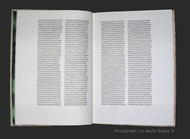 Pages 8 and 9