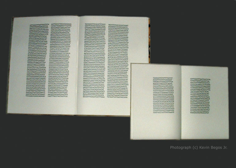 Inside the small edition