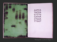Pages 4 and 5 of the Deluxe Edition