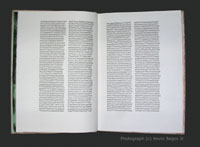 Pages 8 and 9 of the Deluxe Edition