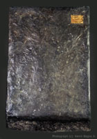 The Case of the Deluxe Edition