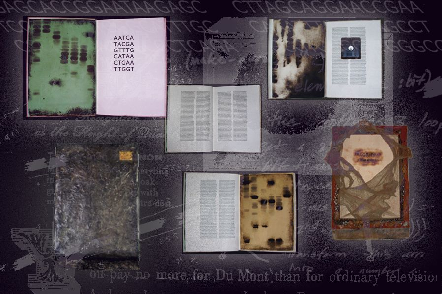 Selected pages from Agrippa